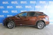 коричневый Lexus RX 300 2.0 AT (238 л.с.) 4WD 2021 фото 6