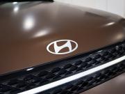 коричневый Hyundai Santa Fe 2.0 AT (247 л.с.) 4WD 2026 фото 5